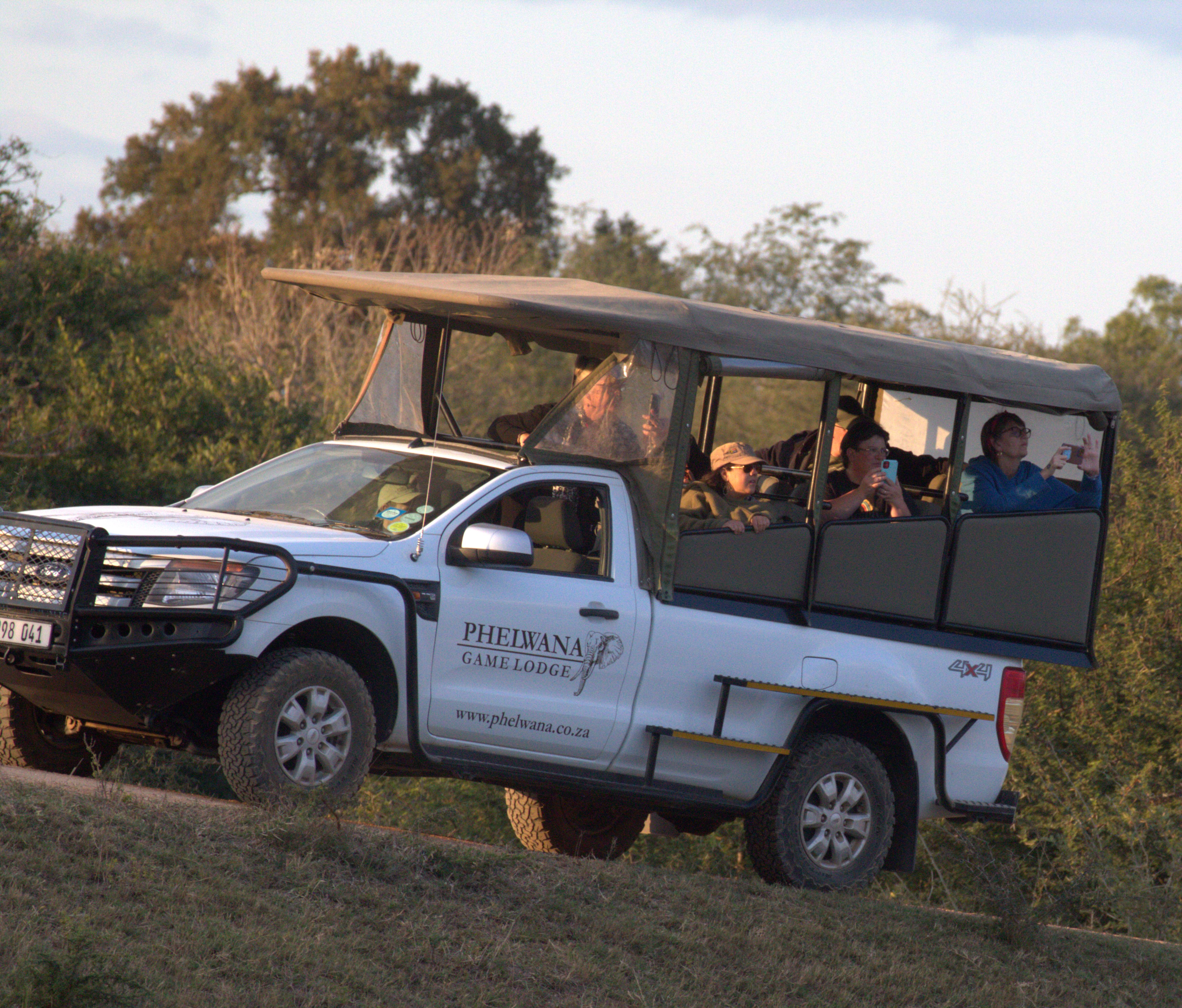 Afternoon Game Drive
