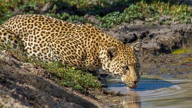 Kruger National Park