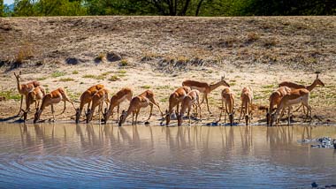 Kruger National Park