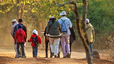 Phelwana Game Lodge - Bush Walks